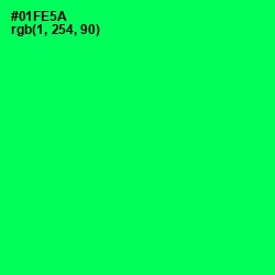 #01FE5A - Spring Green Color Image