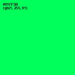 #01FF5B - Spring Green Color Image
