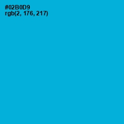 #02B0D9 - Cerulean Color Image