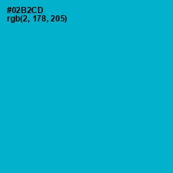 #02B2CD - Cerulean Color Image