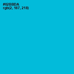 #02BBDA - Cerulean Color Image