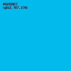 #02BBEC - Cerulean Color Image