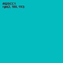 #02BCC1 - Cerulean Color Image