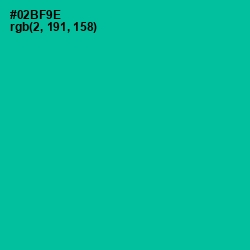 #02BF9E - Persian Green Color Image