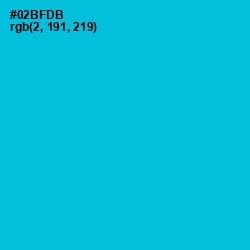 #02BFDB - Cerulean Color Image