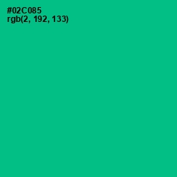 #02C085 - Caribbean Green Color Image