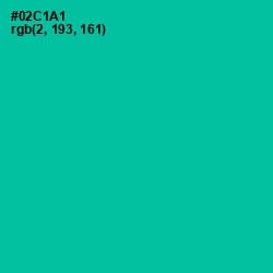 #02C1A1 - Caribbean Green Color Image