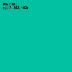 #02C1A3 - Caribbean Green Color Image