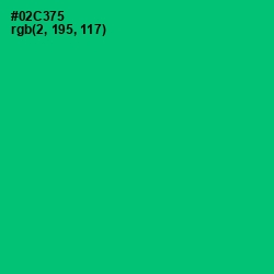 #02C375 - Malachite Color Image