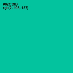 #02C39D - Caribbean Green Color Image