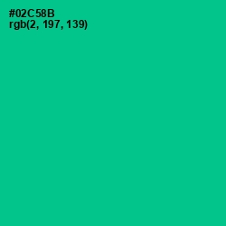 #02C58B - Caribbean Green Color Image