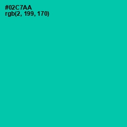 #02C7AA - Caribbean Green Color Image