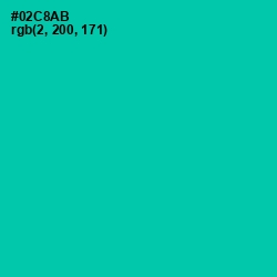 #02C8AB - Caribbean Green Color Image