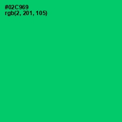 #02C969 - Malachite Color Image