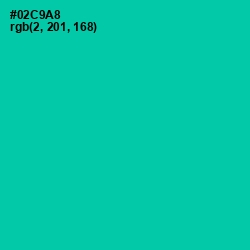#02C9A8 - Caribbean Green Color Image