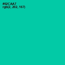 #02CAA7 - Caribbean Green Color Image