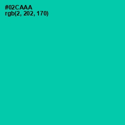 #02CAAA - Caribbean Green Color Image