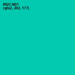 #02CAB1 - Caribbean Green Color Image