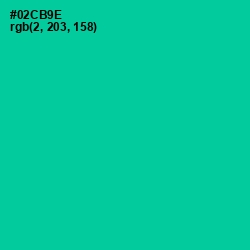 #02CB9E - Caribbean Green Color Image