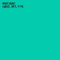 #02CBAE - Caribbean Green Color Image