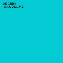 #02CBD4 - Robin's Egg Blue Color Image