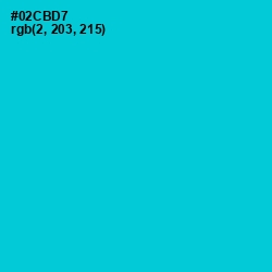 #02CBD7 - Robin's Egg Blue Color Image
