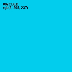 #02CDED - Bright Turquoise Color Image