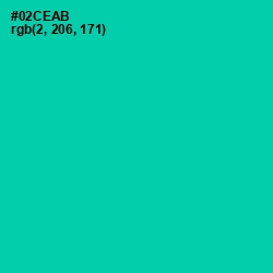 #02CEAB - Caribbean Green Color Image