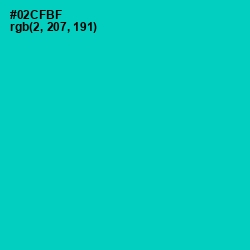#02CFBF - Caribbean Green Color Image