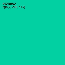 #02D0A2 - Caribbean Green Color Image