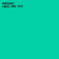 #02D0A7 - Caribbean Green Color Image