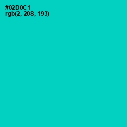 #02D0C1 - Robin's Egg Blue Color Image