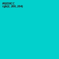 #02D0CC - Robin's Egg Blue Color Image