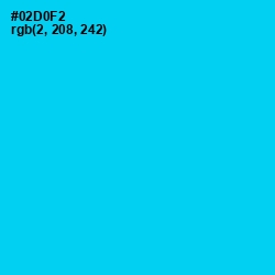 #02D0F2 - Bright Turquoise Color Image