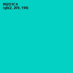 #02D1C4 - Robin's Egg Blue Color Image