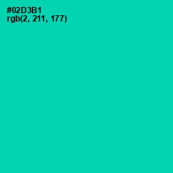 #02D3B1 - Caribbean Green Color Image