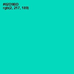 #02D9BD - Caribbean Green Color Image