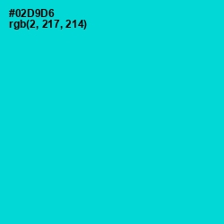 #02D9D6 - Robin's Egg Blue Color Image