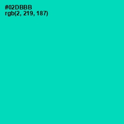 #02DBBB - Caribbean Green Color Image