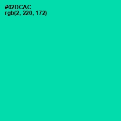 #02DCAC - Caribbean Green Color Image