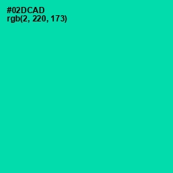 #02DCAD - Caribbean Green Color Image