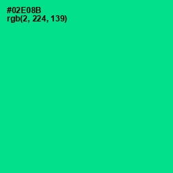 #02E08B - Caribbean Green Color Image