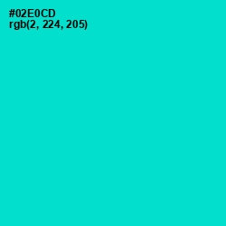 #02E0CD - Bright Turquoise Color Image