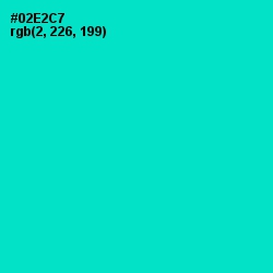 #02E2C7 - Bright Turquoise Color Image