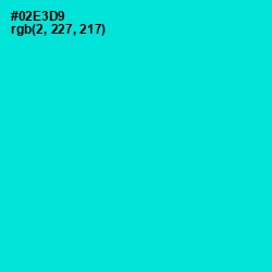 #02E3D9 - Bright Turquoise Color Image