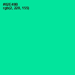 #02E49B - Caribbean Green Color Image