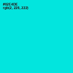 #02E4DE - Bright Turquoise Color Image