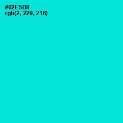 #02E5D8 - Bright Turquoise Color Image