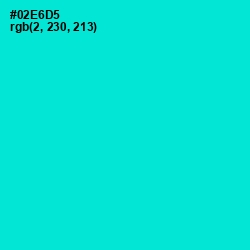 #02E6D5 - Bright Turquoise Color Image