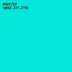 #02E7D7 - Bright Turquoise Color Image